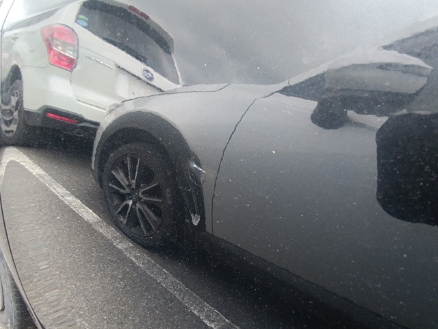 280.jpg