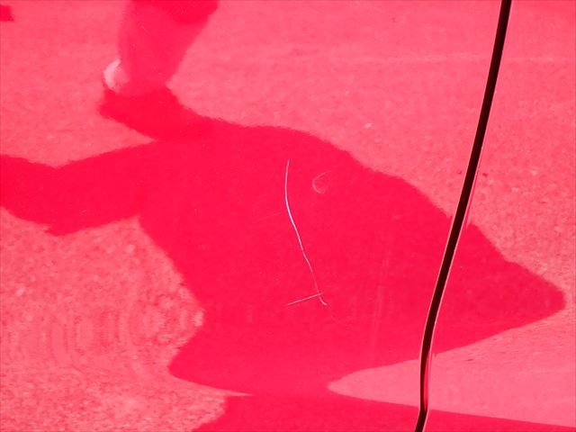 280.jpg