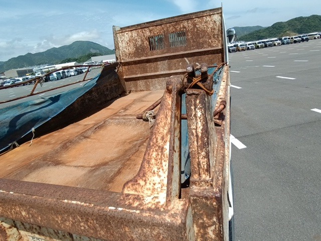 307.jpg