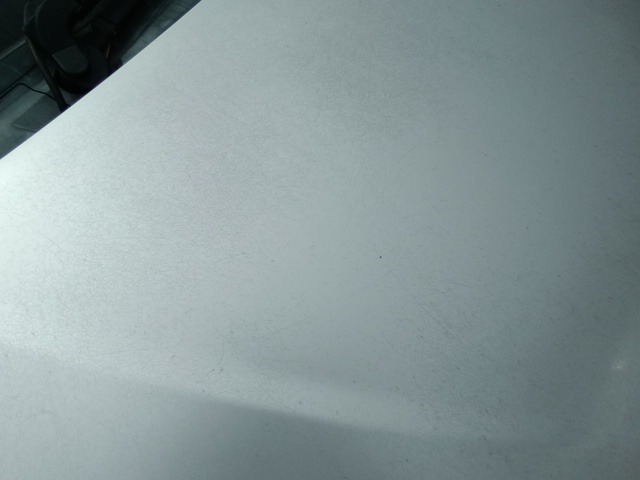 283.jpg