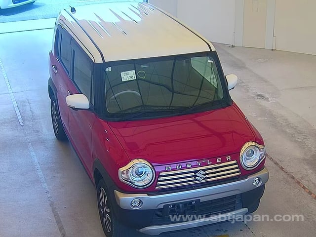 19.jpg