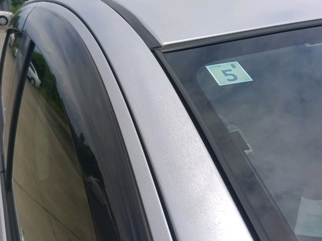 298.jpg