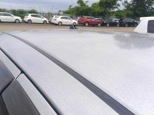 299.jpg