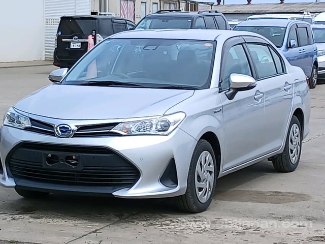 41.jpg