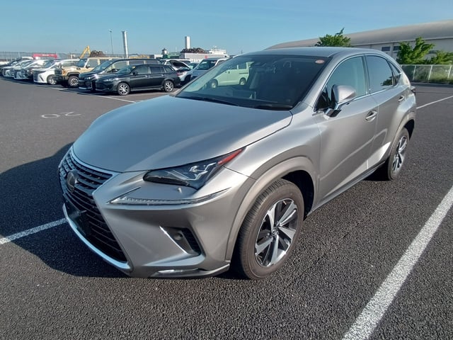 LEXUS NX photo 2