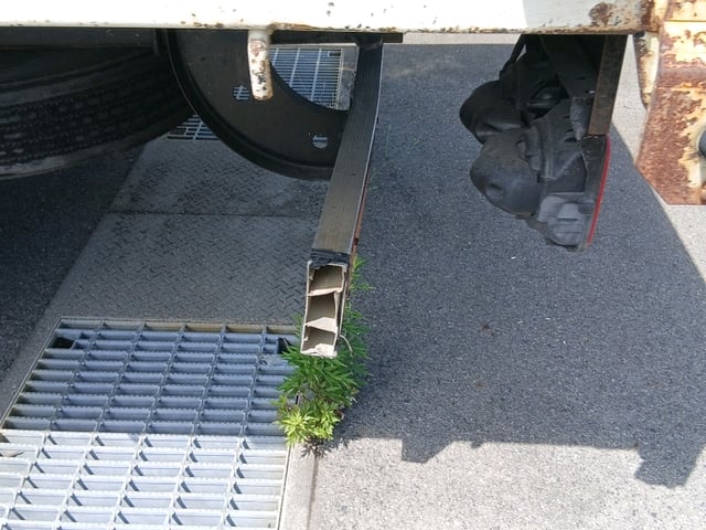 302.jpg