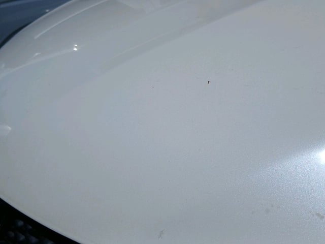 281.jpg