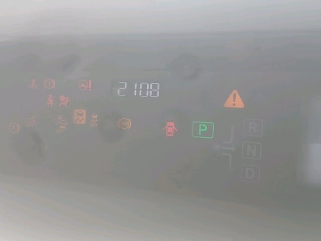 296.jpg