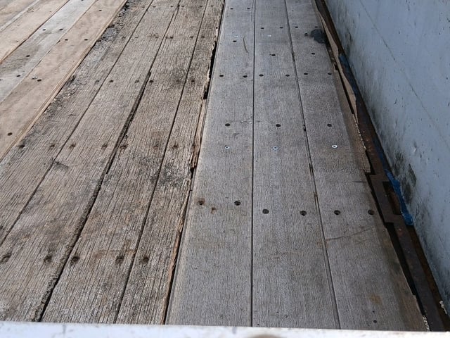 294.jpg