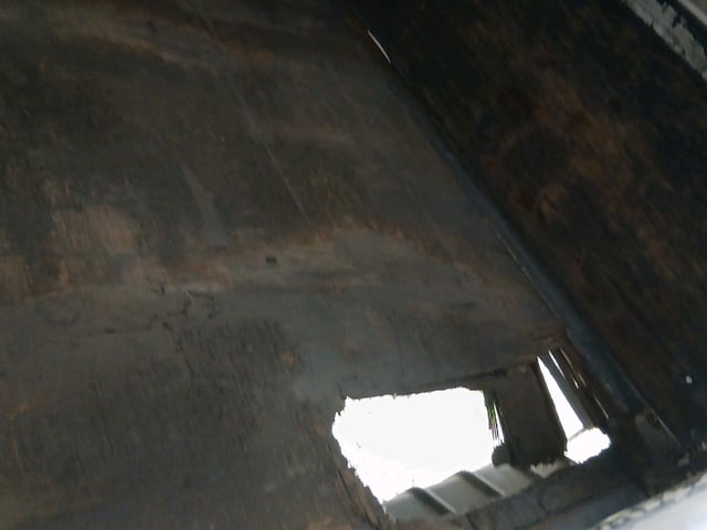 283.jpg