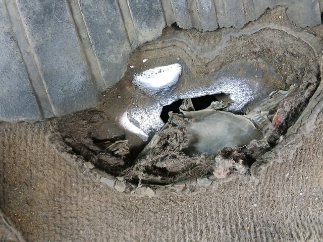 288.jpg