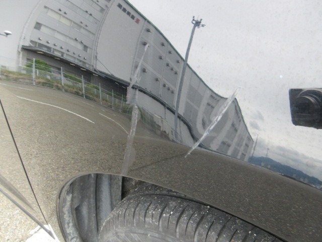 283.jpg