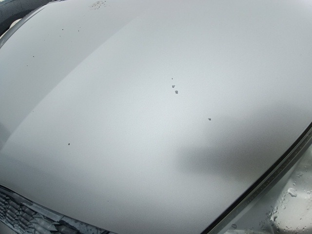 280.jpg