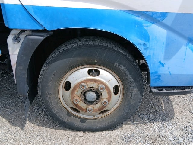 19.jpg