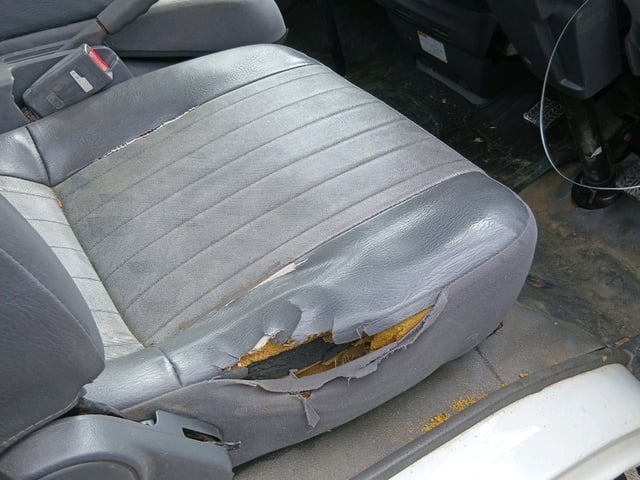 280.jpg