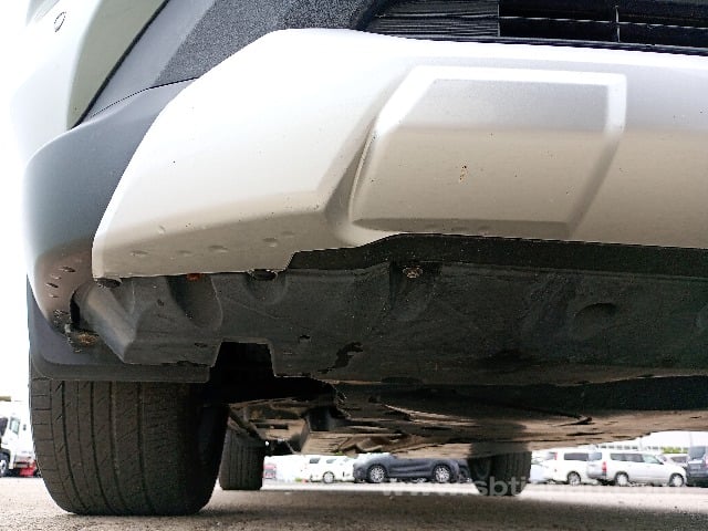 36.jpg