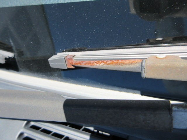 282.jpg