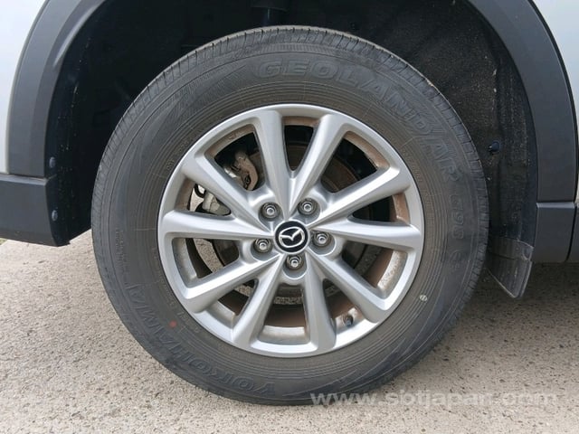 12.jpg