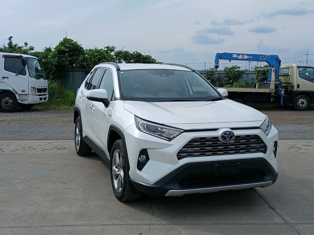TOYOTA RAV4 2019