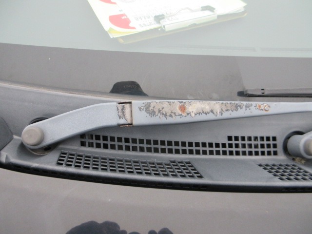 285.jpg