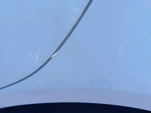 281.jpg
