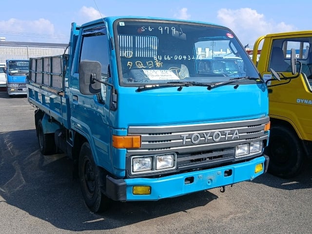 290.jpg