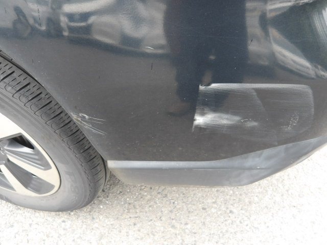 282.jpg
