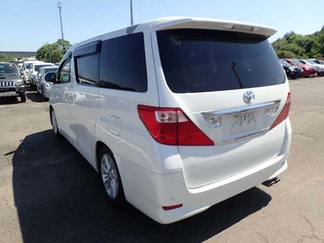 TOYOTA ALPHARD photo 3