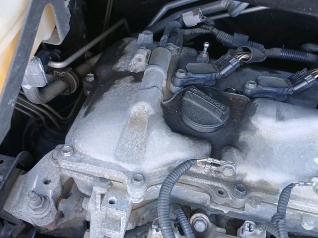 280.jpg