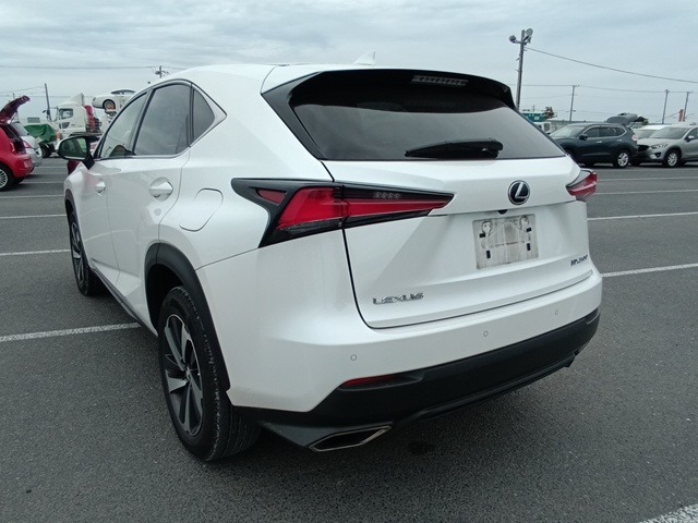 LEXUS NX photo 3