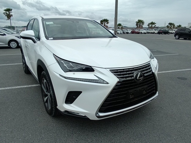 LEXUS NX 2018