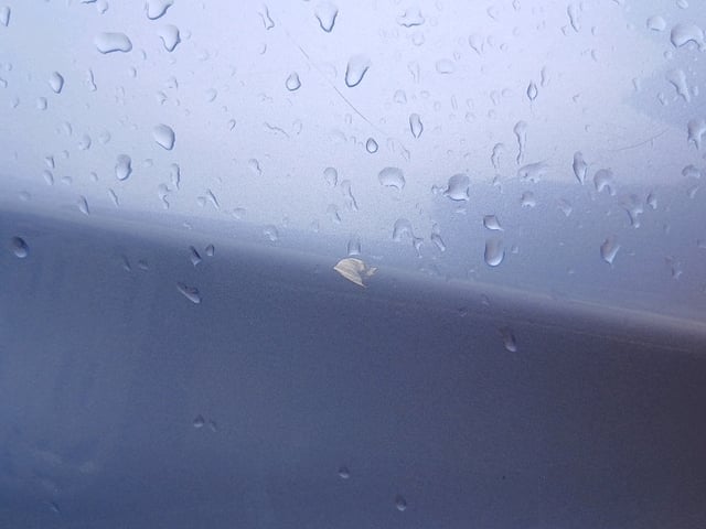 280.jpg
