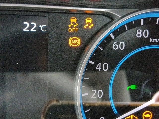 294.jpg