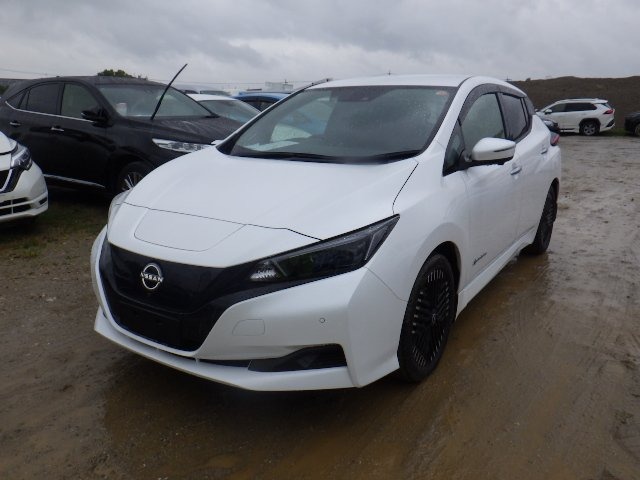 NISSAN LEAF photo 2