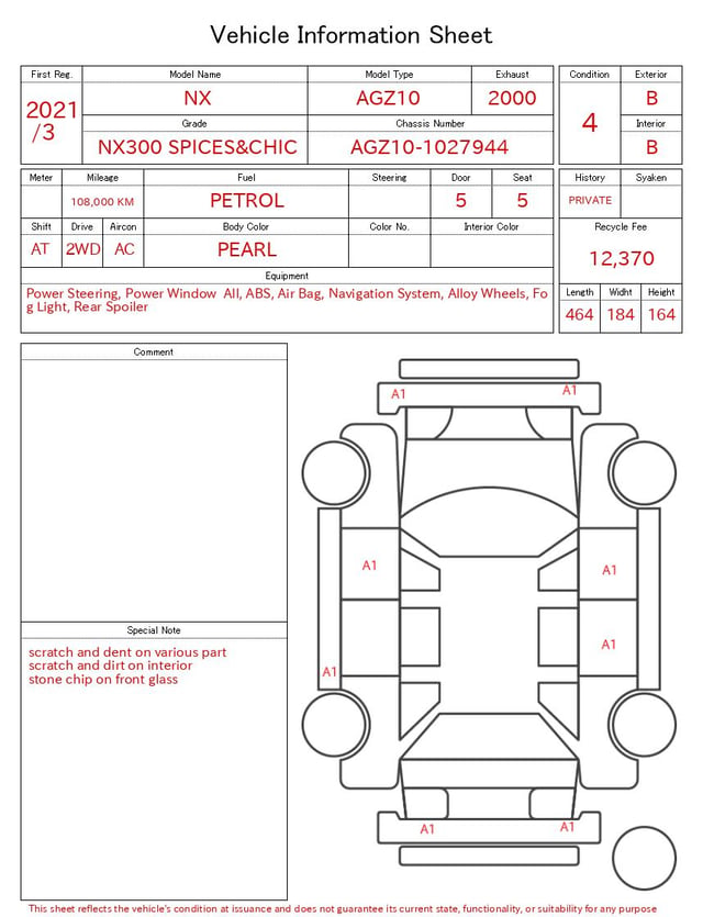 2021 LEXUS NX NX300 SPICES&CHIC
