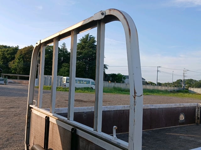 290.jpg