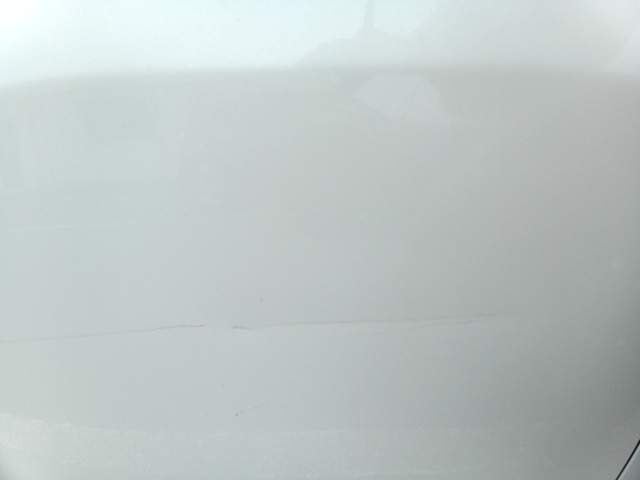 282.jpg
