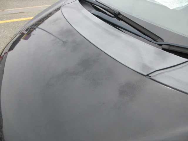280.jpg
