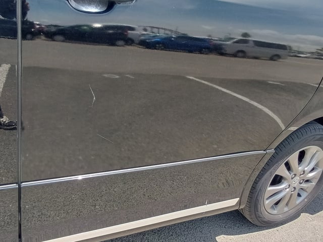 283.jpg