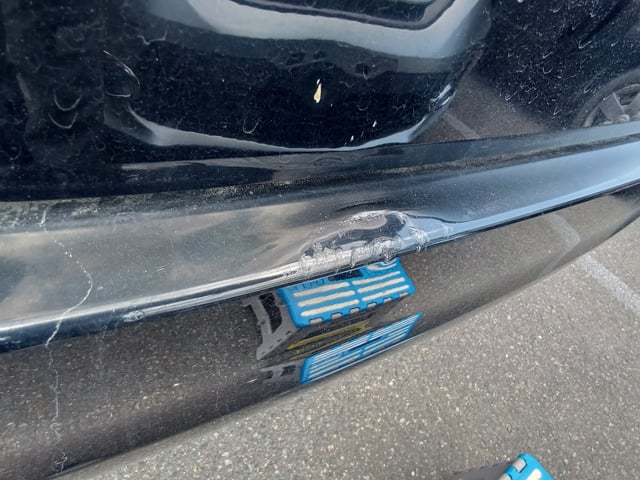 293.jpg