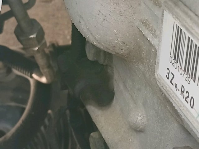 290.jpg