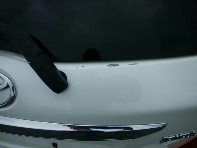 280.jpg