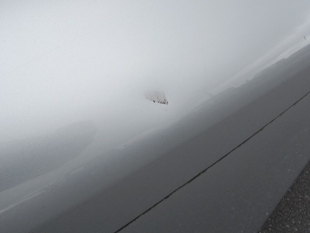 281.jpg