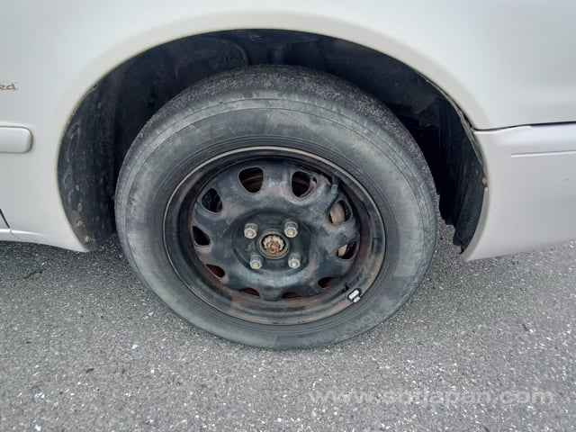 29.jpg