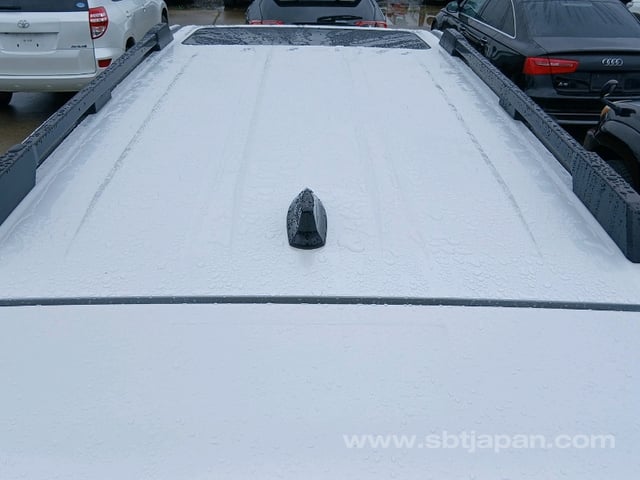 41.jpg