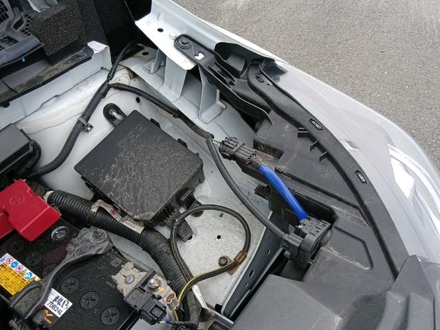 290.jpg