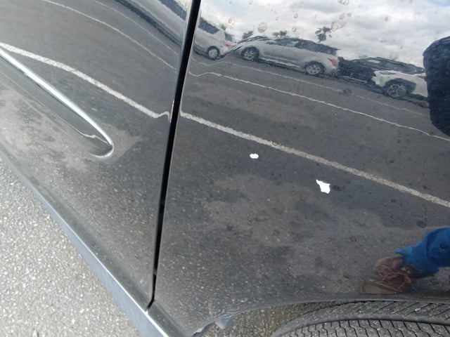 281.jpg