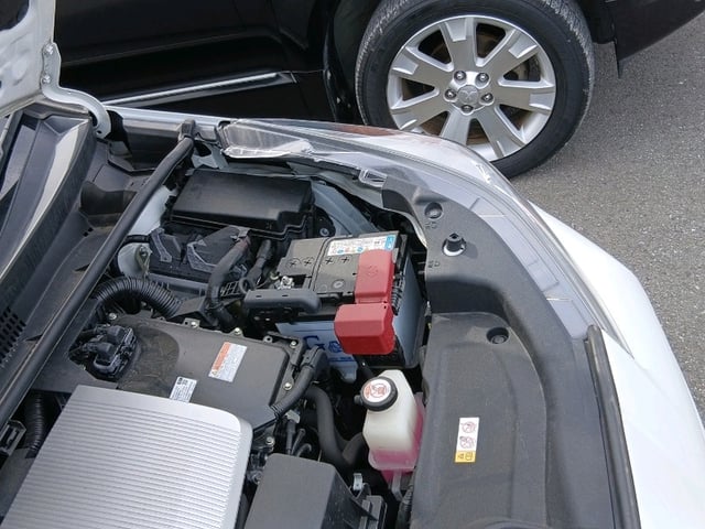 285.jpg