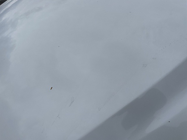 280.jpg