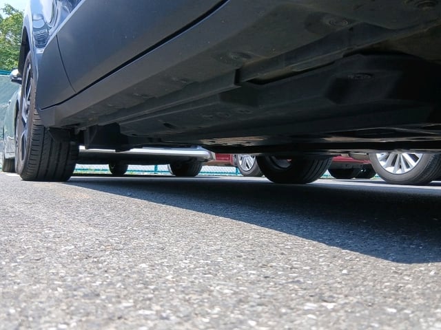 295.jpg
